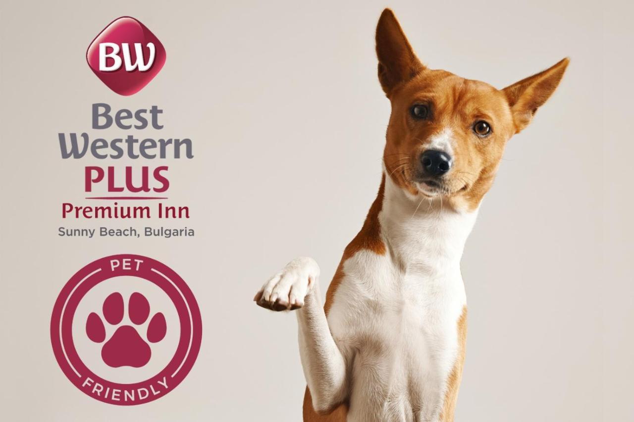 Best Western Plus Premium Inn 써니비치 외부 사진